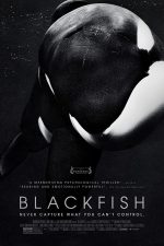 دانلود دوبله فارسی فیلم Blackfish 2013