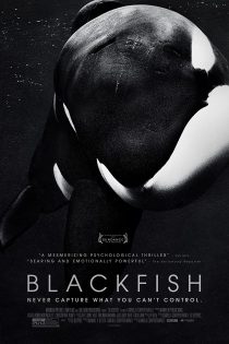 دانلود دوبله فارسی فیلم Blackfish 2013