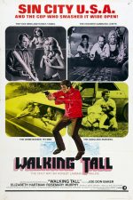 دانلود دوبله فارسی فیلم Walking Tall 1973