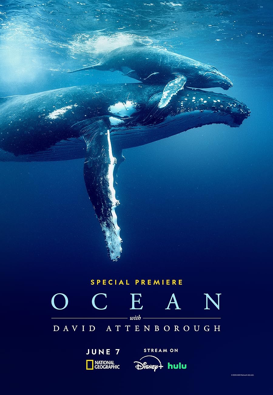 دانلود فیلم Ocean with David Attenborough 2025 با زیرنویس چسبیده دانلود فیلم Ocean with David Attenborough 2025 با زیرنویس چسبیده
